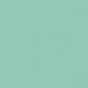 Meet your Posher, Ed